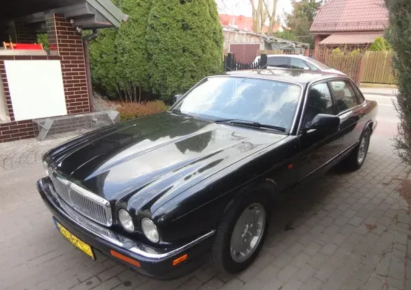 Jaguar XJ cena 21000 przebieg: 258000, rok produkcji 1996 z Pułtusk małe 7